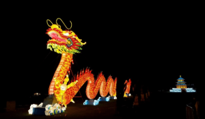 Anul nou chinezesc: Dezlănțuie tigrul din tine